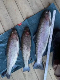 Angelpark Reese (Papiermühle)-2