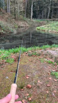 Angelpark Reese (Papiermühle)-3