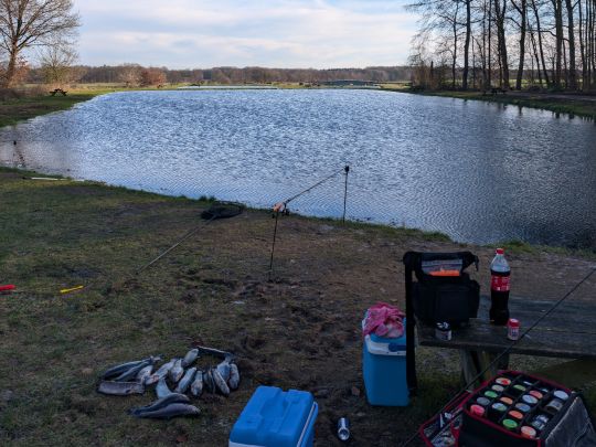 Angelpark Reese (Papiermühle)-4