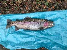 Angelpark Diepeschrather Mühle-3