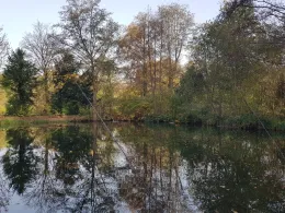 Angelpark Diepeschrather Mühle-1