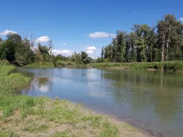 Rottbach (Rott am Inn)