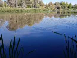 Betonwerkteich I (Gröbzig)