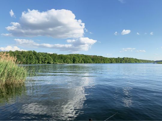 Kalksee (Rüdersdorf) ALLE ANGELN
