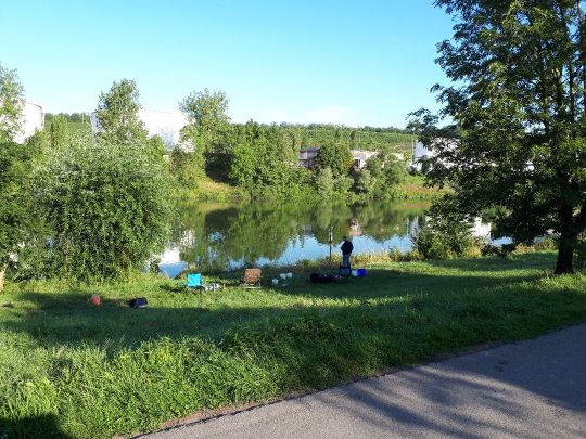 Mosel (Temmels-Mertert)-3