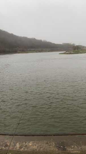 Mosel (Temmels-Mertert)-1