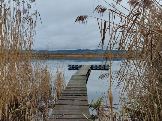 Hinterer Breitunger See-3