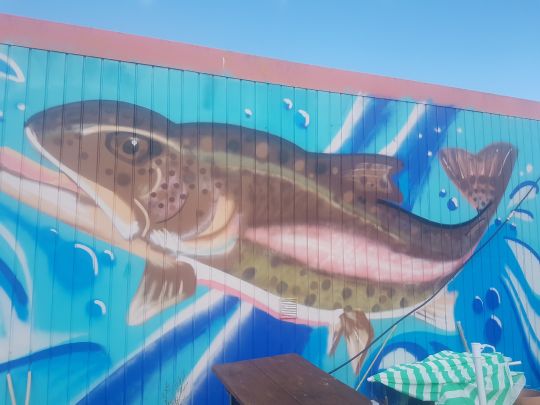 Forellenhof Nassenheide-1