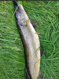 Wuhle (Berlin-Hellersdorf)-3