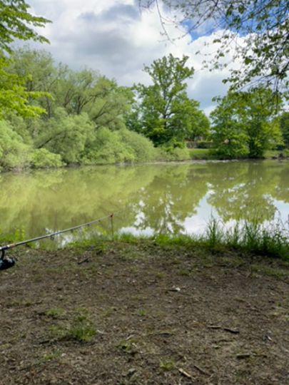Holzwiesenteich (Atzenhain)-2
