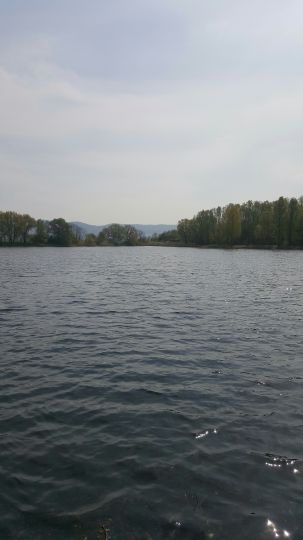Höckelheimer See B