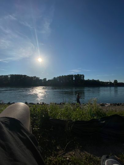Rhein (Dettenheim)