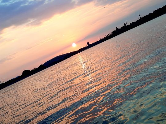 Rhein (Duisburg-Beek)-1