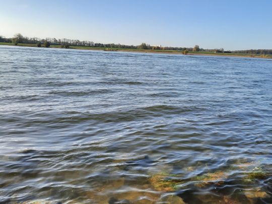 Rhein (Duisburg-Beek)-4