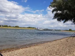 Rhein (Duisburg-Beek)-3