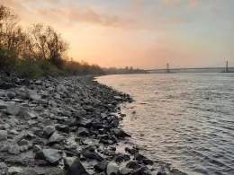 Rhein (Duisburg-Beek)-2