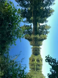 Opelkiesgrube (Grafenwöhr)-4