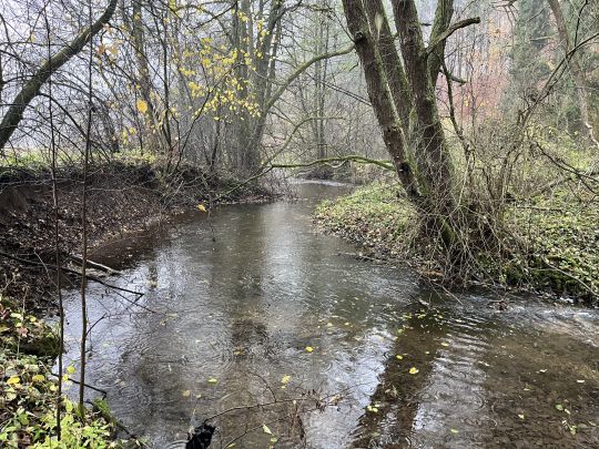 Nethe (Willebadessen)-1