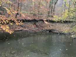 Nethe (Willebadessen)