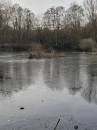 Baggersee Steinwenden-1