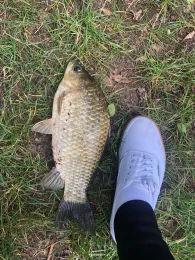 Baggersee Steinwenden