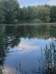 Buschmühlenteich (Helmstedt)