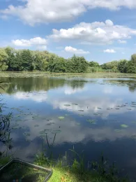 Buschmühlenteich (Helmstedt)-2