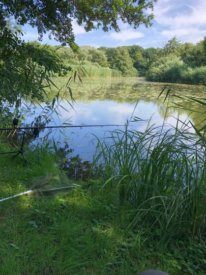 Buschmühlenteich (Helmstedt)-1