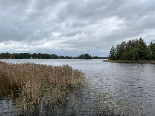 Hönshyltefjorden