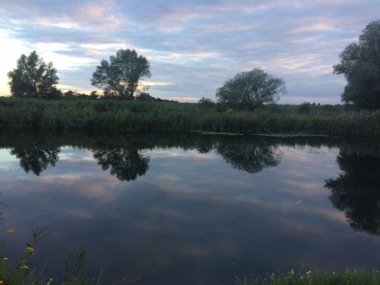 Elbumflut (Plötzky)-4