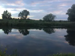 Elbumflut (Plötzky)-4