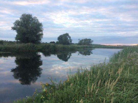 Elbumflut (Plötzky)-2