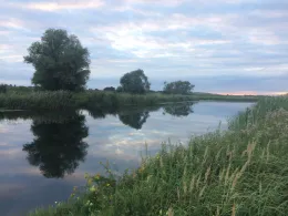 Elbumflut (Plötzky)-2