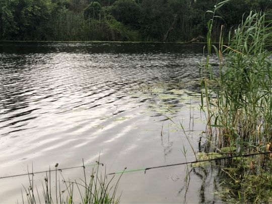 Elbumflut (Plötzky)-1