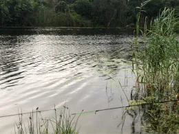 Elbumflut (Plötzky)-1