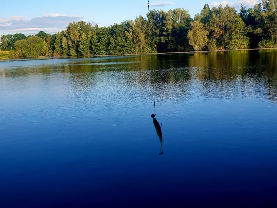 Kiesteich Brunkhorst-3