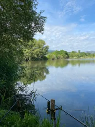 Köhlerteich (Wernigerode)-3