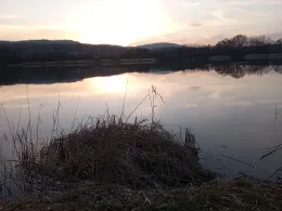 Köhlerteich (Wernigerode)-1