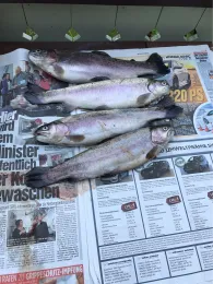 Köhlerteich (Wernigerode)-2