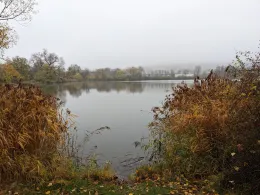 Köhlerteich (Wernigerode)-4