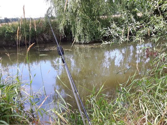 Schwarzer Schöps (Mücka)-3