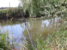 Schwarzer Schöps (Mücka)-4