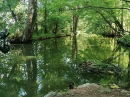 Schwarzer Schöps (Mücka)