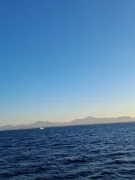 Rotes Meer (Hurghada)-3