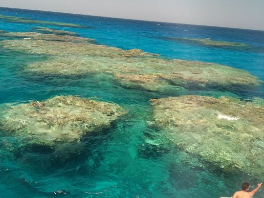Rotes Meer (Hurghada)-3