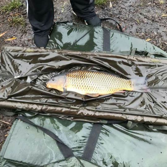 Hohendeicher See (Oortkaten)