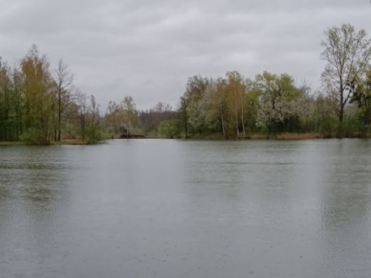 Baggerlöcher Deggendorf-1