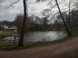 Parkteich Farnroda-2