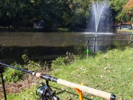 Parkteich Farnroda-1