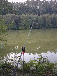 Fröschauer Weiher-1